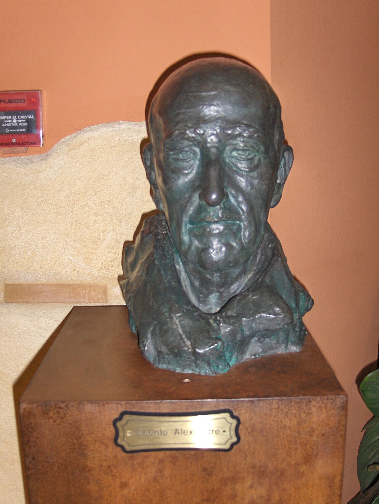 Vicente Aleixandre